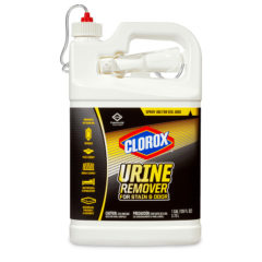 clorox_1g